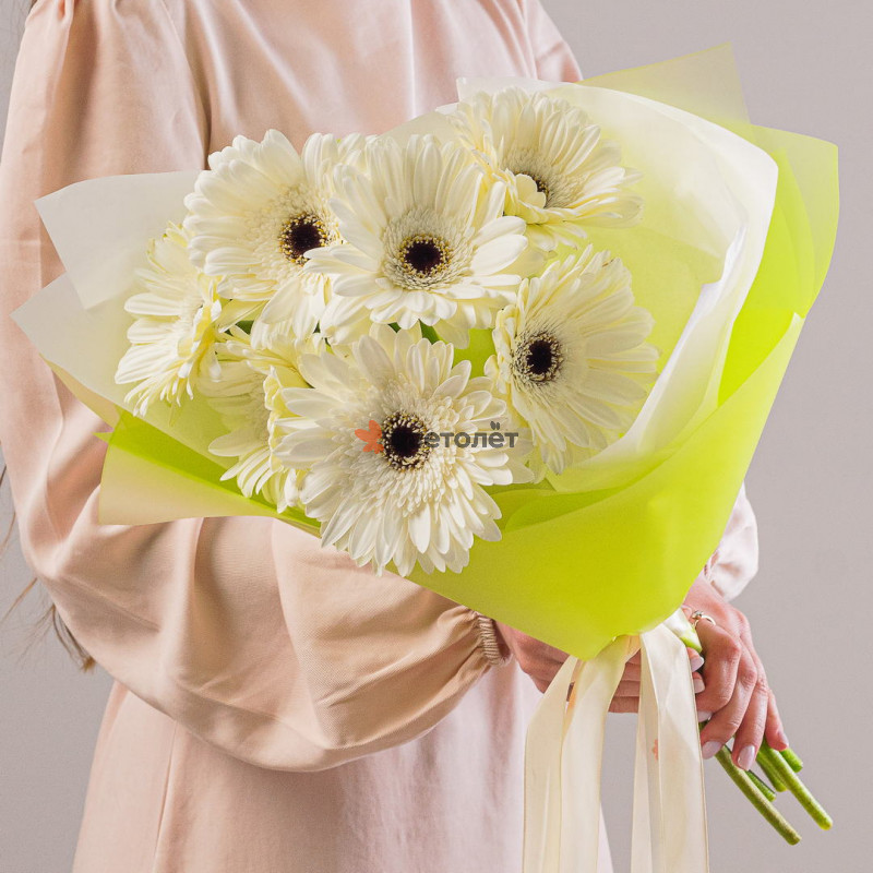Букет из 7 белых гербер