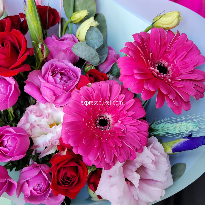 Яркие краски