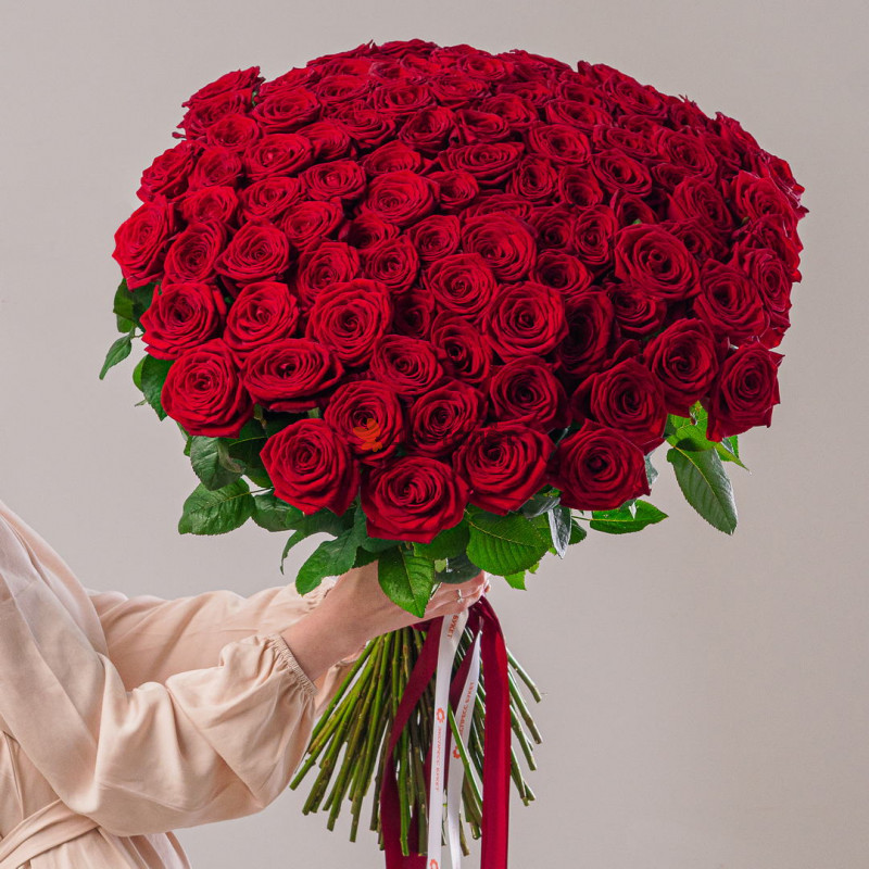 101 красная роза 70см