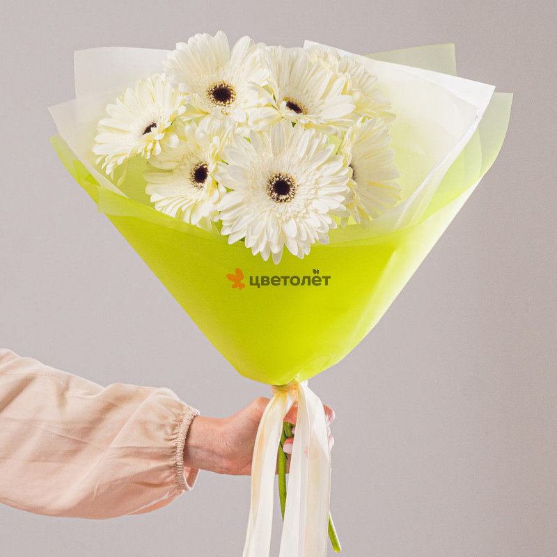 Букет из 7 белых гербер