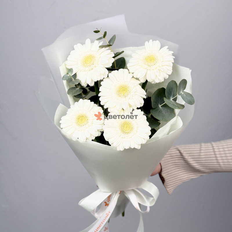 Букет из 5 гербер с эвкалиптом