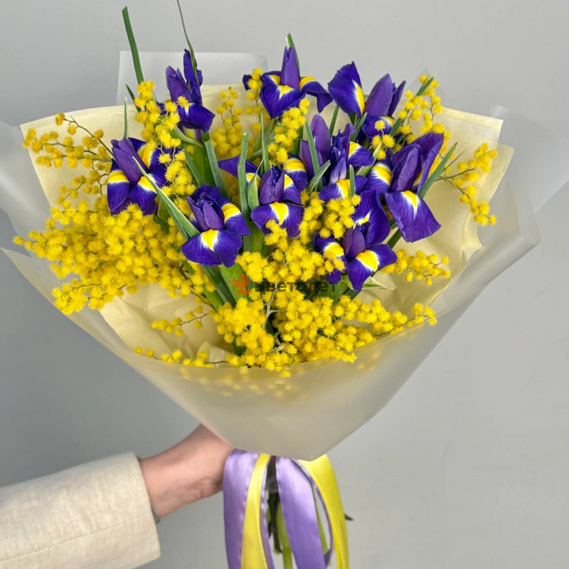 Солнечная весна