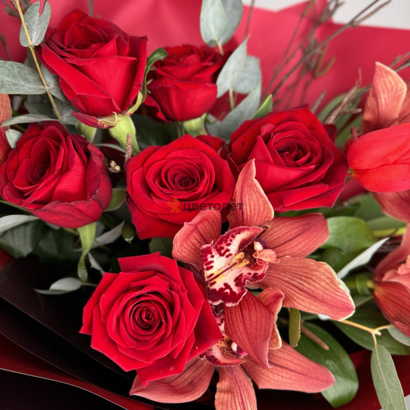 Оазис орхидейной роскоши