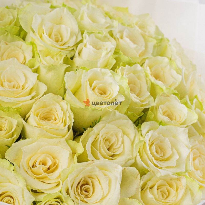 Букет из 35 белой розы 40 см