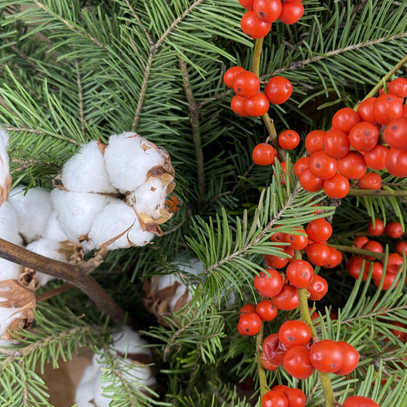 Новогодние Эмоции